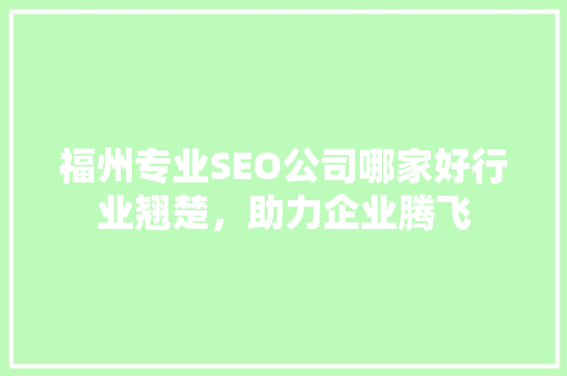 福州专业SEO公司哪家好行业翘楚，助力企业腾飞