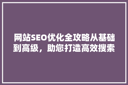 网站SEO优化全攻略从基础到高级，助您打造高效搜索引擎排名
