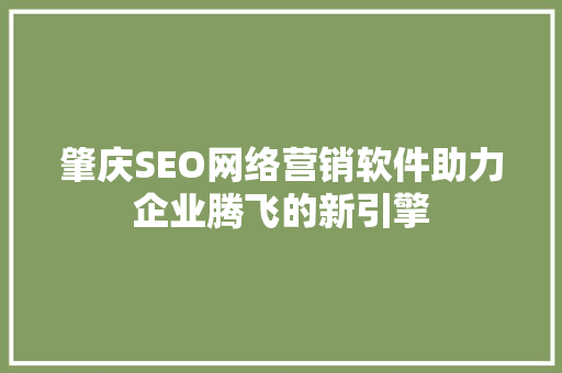 肇庆SEO网络营销软件助力企业腾飞的新引擎