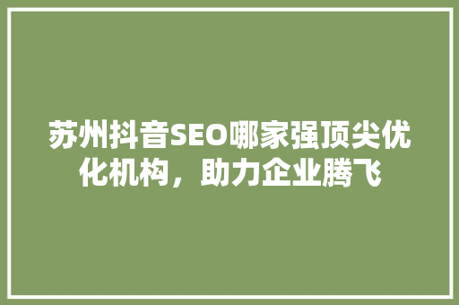 苏州抖音SEO哪家强顶尖优化机构，助力企业腾飞  第1张