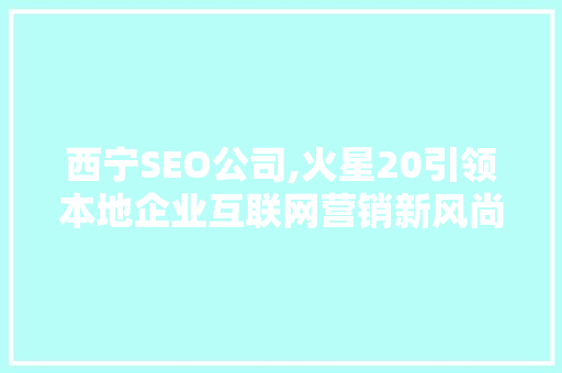西宁SEO公司,火星20引领本地企业互联网营销新风尚
