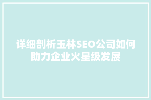 详细剖析玉林SEO公司如何助力企业火星级发展