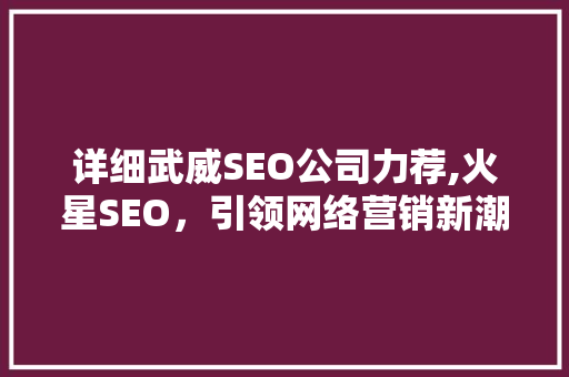 详细武威SEO公司力荐,火星SEO，引领网络营销新潮流