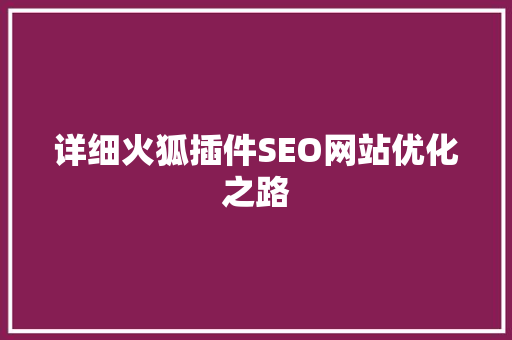 详细火狐插件SEO网站优化之路