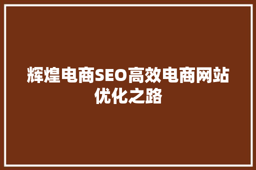 辉煌电商SEO高效电商网站优化之路