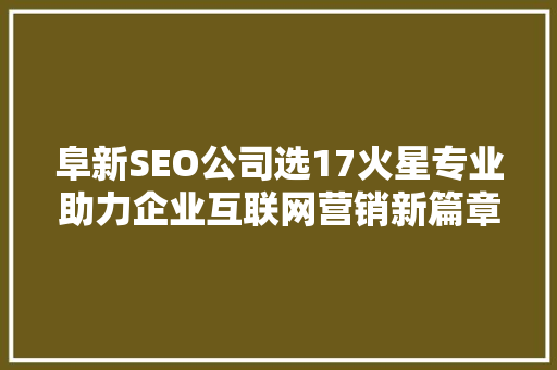 阜新SEO公司选17火星专业助力企业互联网营销新篇章