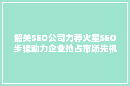 韶关SEO公司力荐火星SEO步骤助力企业抢占市场先机