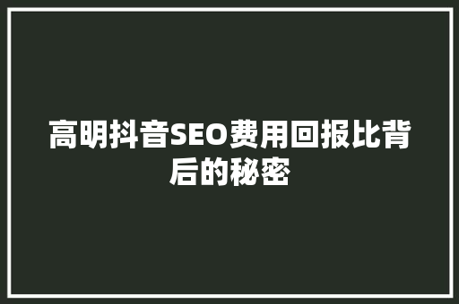 高明抖音SEO费用回报比背后的秘密
