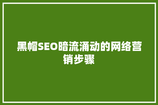 黑帽SEO暗流涌动的网络营销步骤