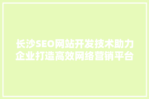 长沙SEO网站开发技术助力企业打造高效网络营销平台