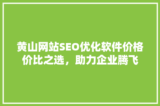 黄山网站SEO优化软件价格价比之选，助力企业腾飞