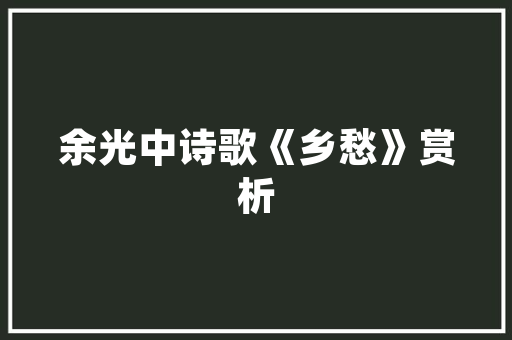公示代码在信息化管理中的应用与方法