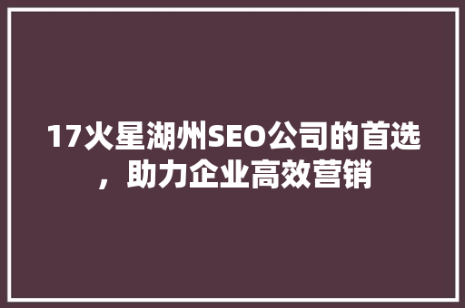 17火星湖州SEO公司的首选，助力企业高效营销