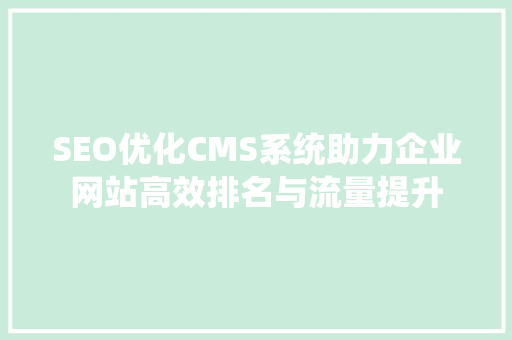 SEO优化CMS系统助力企业网站高效排名与流量提升