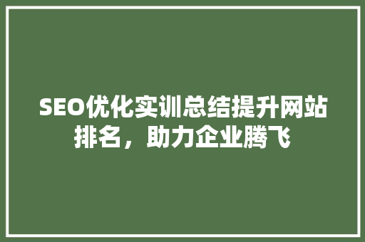 SEO优化实训总结提升网站排名，助力企业腾飞