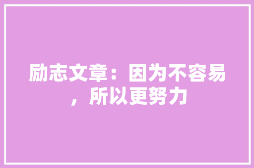 内勤工作代码高效与创新的基石