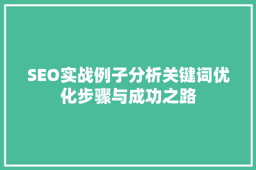 SEO实战例子分析关键词优化步骤与成功之路