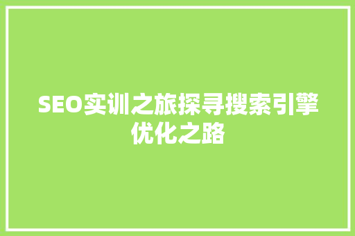 SEO实训之旅探寻搜索引擎优化之路