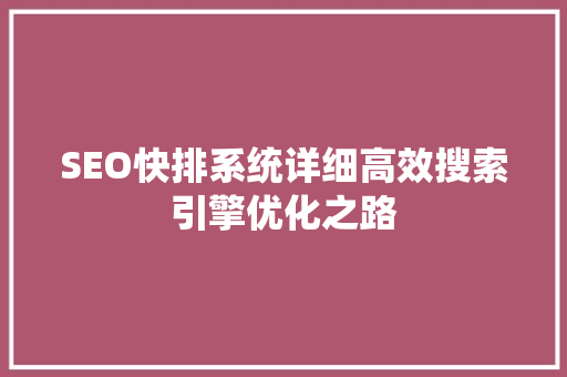 SEO快排系统详细高效搜索引擎优化之路