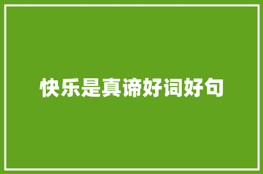 写实代码的艺术技术之美与逻辑之韵