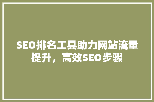 SEO排名工具助力网站流量提升，高效SEO步骤