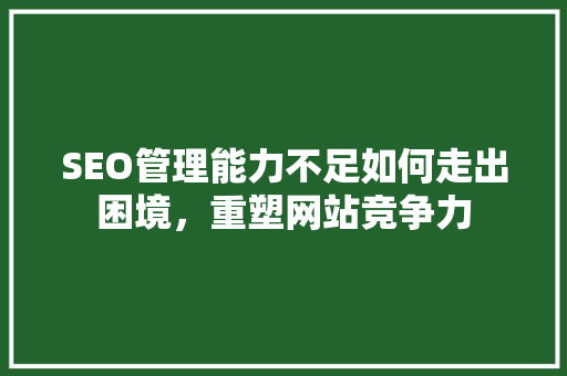 SEO管理能力不足如何走出困境，重塑网站竞争力
