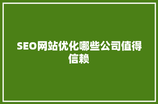 SEO网站优化哪些公司值得信赖
