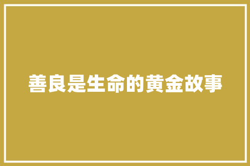 SEO网络推广费用合理预算，精准