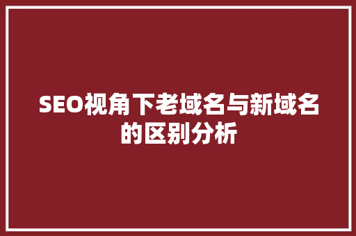 SEO视角下老域名与新域名的区别分析