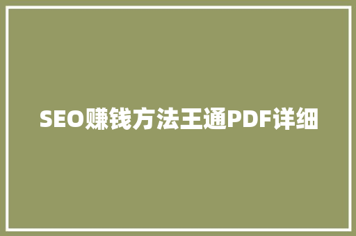 SEO赚钱方法王通PDF详细