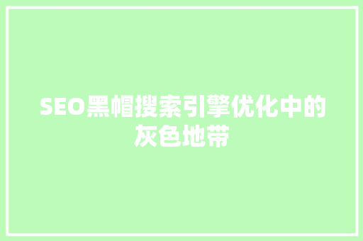 SEO黑帽搜索引擎优化中的灰色地带