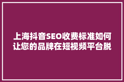 上海抖音SEO收费标准如何让您的品牌在短视频平台脱颖而出