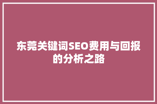 东莞关键词SEO费用与回报的分析之路