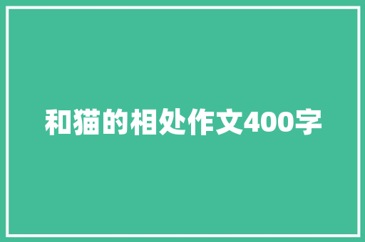 净代码行软件开发中的艺术与科学