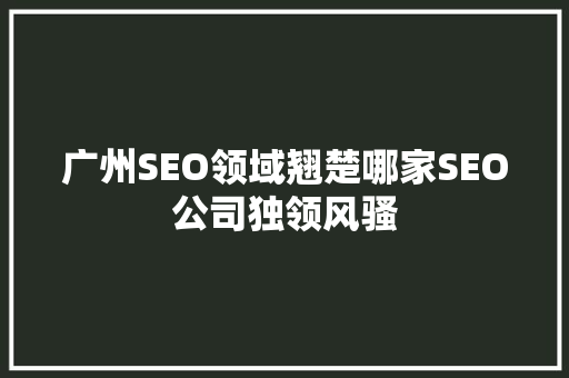广州SEO领域翘楚哪家SEO公司独领风骚