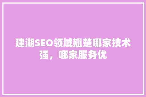 建湖SEO领域翘楚哪家技术强，哪家服务优