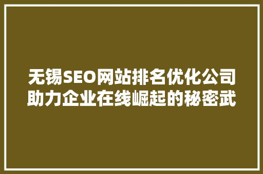 无锡SEO网站排名优化公司助力企业在线崛起的秘密武器