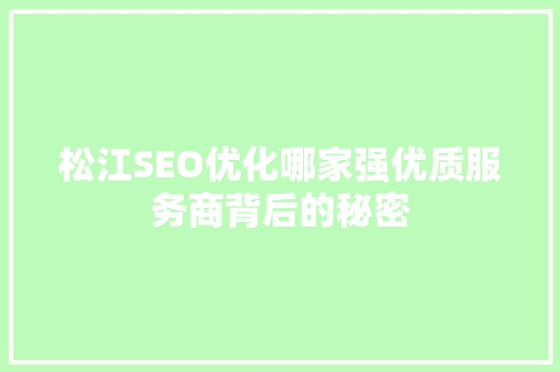 松江SEO优化哪家强优质服务商背后的秘密
