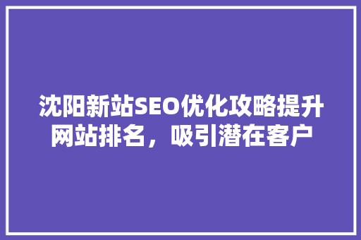 沈阳新站SEO优化攻略提升网站排名，吸引潜在客户  第1张