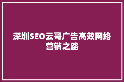 深圳SEO云哥广告高效网络营销之路