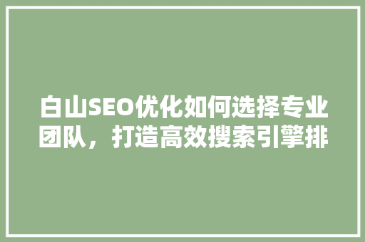 白山SEO优化如何选择专业团队，打造高效搜索引擎排名