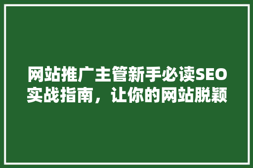网站推广主管新手必读SEO实战指南，让你的网站脱颖而出