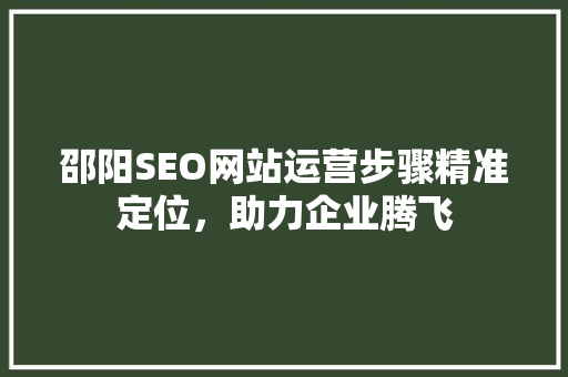 邵阳SEO网站运营步骤精准定位，助力企业腾飞