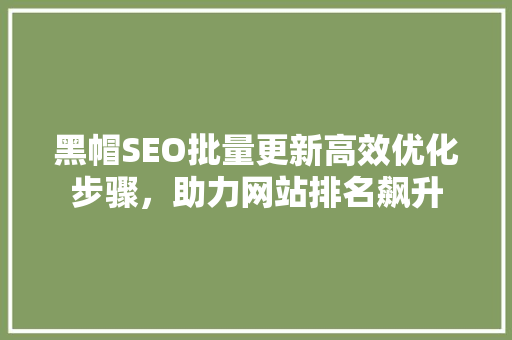 黑帽SEO批量更新高效优化步骤，助力网站排名飙升