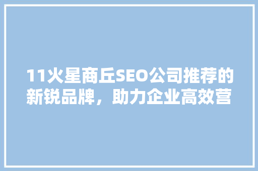 11火星商丘SEO公司推荐的新锐品牌，助力企业高效营销