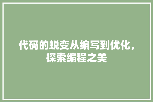 代码的蜕变从编写到优化，探索编程之美