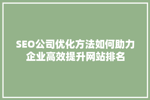 SEO公司优化方法如何助力企业高效提升网站排名