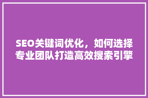 SEO关键词优化，如何选择专业团队打造高效搜索引擎排名