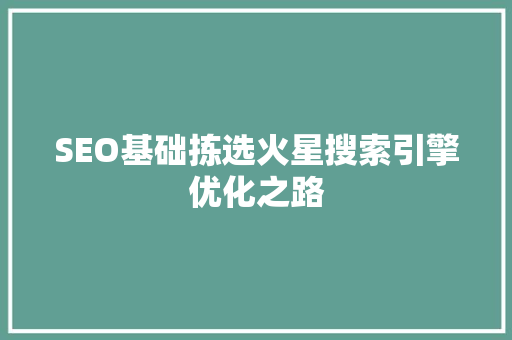 SEO基础拣选火星搜索引擎优化之路