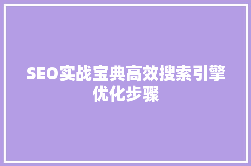 SEO实战宝典高效搜索引擎优化步骤